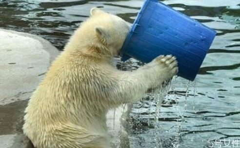 怎么样喝水才能减肥最快,什么时候喝水容易减肥