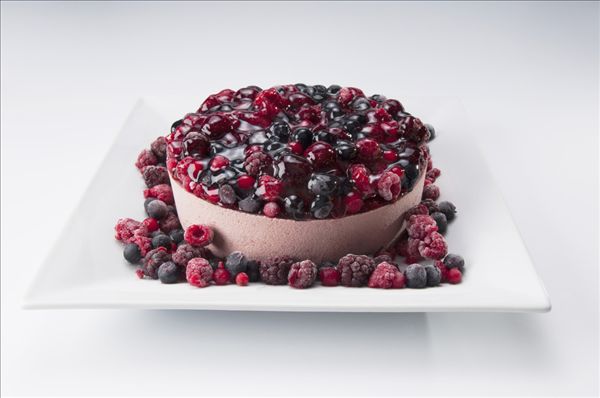 蓝莓和蓝莓李果是一种果子吗?,蓝莓李果是蓝莓吗 蓝莓和蓝莓李果是一种果子吗?,蓝莓李果是蓝莓吗