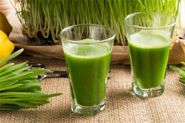 黑麦草和小麦的区别,小麦草是什么科