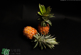 春天可以吃菠萝吗?,冬天可以吃菠萝吗