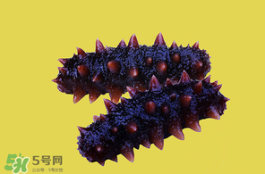 春天能吃海参吗?,冬天吃海参