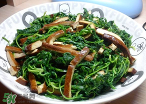 荠菜吃多了会中毒吗,吃了荠菜为什么会中毒