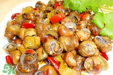 田螺的营养价值和功效和作用,田螺的营养价值跟危害 田螺的营养价值和功效和作用,田螺的营养价值跟危害