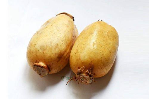 莲藕有利于排便吗,莲藕能通便吗