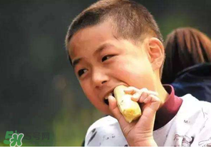 秋天吃甘蔗有什么好处,秋天甘蔗能不能吃