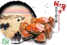 大闸蟹一年四季都有蟹黄吗,螃蟹一年四季都有吗