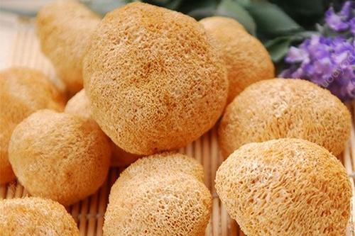 猴头菇苦可以吃吗?,猴头菇苦能吃吗