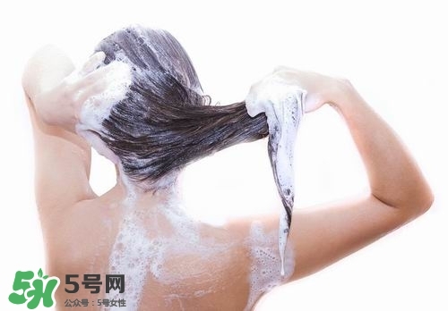 掉头发应该怎么做,掉头发怎么弄