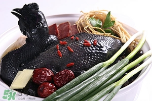 党参黄芪炖母鸡的功效,党参黄芪炖母鸡汤喝多久见效 党参黄芪炖母鸡的功效,党参黄芪炖母鸡汤喝多久见效