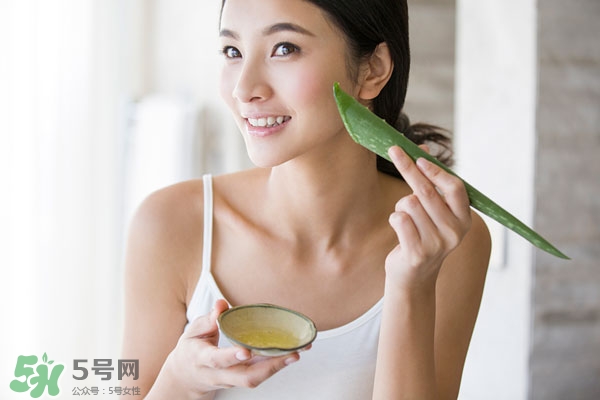 怎样用芦荟美容,家有芦荟怎样使用美容
