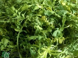 荠菜怎么保存才能保鲜,荠菜怎么保存放的时间长