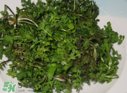 荠菜怎么洗才能干净,荠菜怎么洗