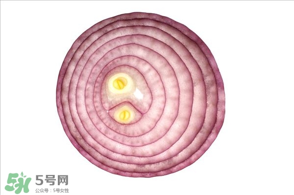 洋葱的功效和作用及害处,洋葱配哪些食物最好