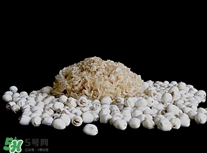 银耳的功效和作用禁忌,银耳的功效和作用