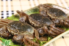 四月份还有螃蟹吗,螃蟹是一年四季都有吗?