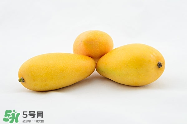 不能和芒果一起吃的食物,芒果和什么不能吃在一起