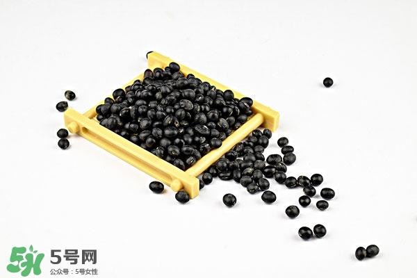 老人补肾吃什么药最好,老人补肾吃什么东西效果最好 老人补肾吃什么药最好,老人补肾吃什么东西效果最好