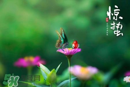 惊蛰吃什么蔬菜好,惊蛰适合吃什么菜