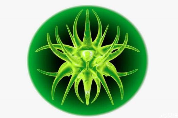 艾博拉病毒是怎么样的呢(埃博拉病毒是什么)