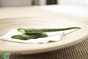 芦荟为什么变黄了怎么办,芦荟发黄是怎么回事 芦荟变黄了怎么办