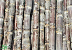 甘蔗有酸味可以吃吗,甘蔗味道酸酸的能吃吗