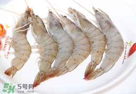 青虾多少钱一斤市场价2021,海虾市场价多少钱一斤