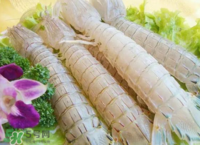 皮皮虾为什么没肉,皮皮虾没有肉