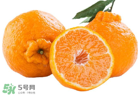 丑八怪孕妇可以吃吗,孕早期可以吃丑八怪吗