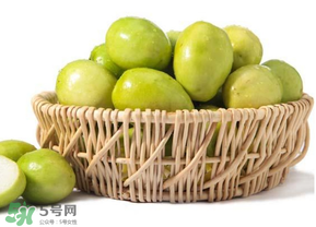 青枣可以空腹吃吗,空腹可以吃青枣子吗