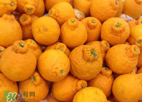 丑橘是转基因吗,丑橘是转基因产品吗 丑橘是转基因吗,丑橘是转基因产品吗