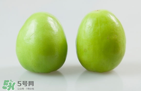 云南青枣什么时候成熟,台湾青枣什么时候成熟