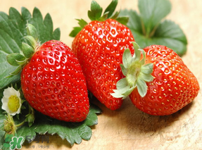 红颜草莓为什么那么贵,红颜草莓和奶油草莓哪个贵 红颜草莓为什么那么贵,红颜草莓和奶油草莓哪个贵