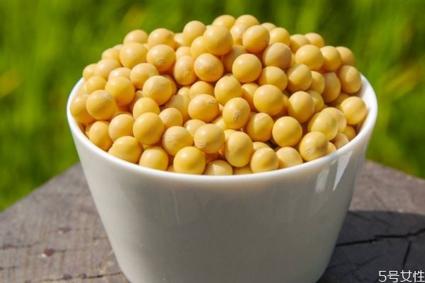 大豆有啥营养价值,大豆都有什么营养 大豆有啥营养价值,大豆都有什么营养