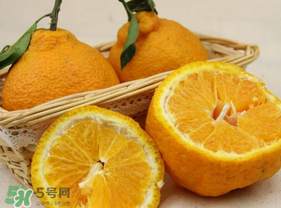 丑橘一斤多少钱,丑橘几块钱一斤