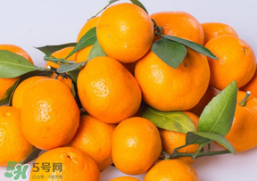 桔子批发价多少钱一斤,小橘子批发多少钱一斤