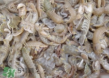 宝宝可以吃皮皮虾吗,宝宝可以吃虾皮么