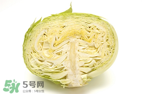 婴儿可以吃卷心菜吗,卷心菜的菜心可以吃吗 婴儿可以吃卷心菜吗,卷心菜的菜心可以吃吗