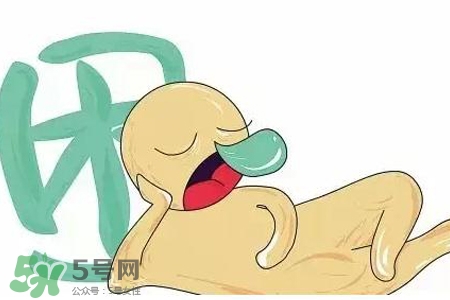 春困喝什么茶,喝茶困不困