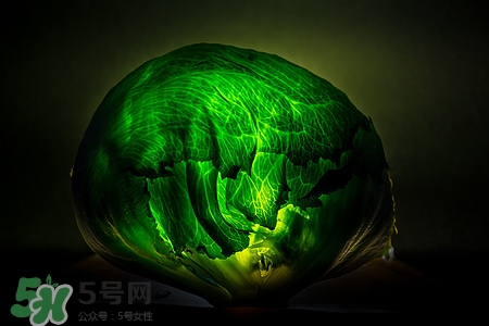 卷心菜可以生吃么,卷心菜可以直接生吃吗