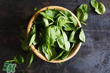 银鱼可以和菠菜一起吃吗,银鱼菠菜和鸡蛋能一块儿吃吗 银鱼可以和菠菜一起吃吗,银鱼菠菜和鸡蛋能一块儿吃吗