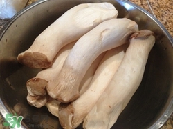 杏鲍菇可以和鸡蛋一起搭配炒吃吗,杏鲍菇可以和鸡蛋一起煮吗