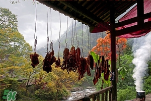 孕妇不能吃腊肉,腊肉孕妇可以吃腊肉吗