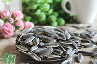 冬天吃瓜子上火吗,吃什么瓜子不上火