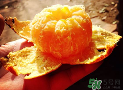 燃气灶烤桔子会中毒吗,煤气灶烤的桔子有毒吗 燃气灶烤桔子会中毒吗,煤气灶烤的桔子有毒吗