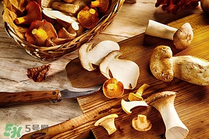 杏鲍菇长白毛还能吃吗?,杏鲍菇长白毛还能吃吗 知乎