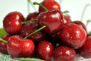 晚上吃车厘子会胖吗?,晚上吃车厘子会不会胖 晚上吃车厘子会胖吗?,晚上吃车厘子会不会胖