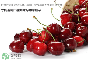 车厘子J级是什么意思,车厘子j级是什么意思xl