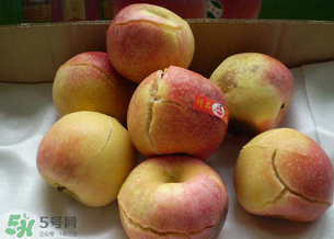 苹果裂口怎么回事,苹果有裂口是什么原因引起的 苹果裂口怎么回事,苹果有裂口是什么原因引起的