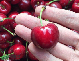 车厘子怎么保存好一点,车厘子怎么保存好?