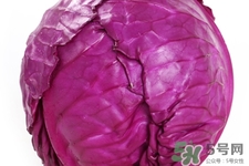 紫甘蓝可以冷冻吗,紫甘蓝可以冷冻保存吗